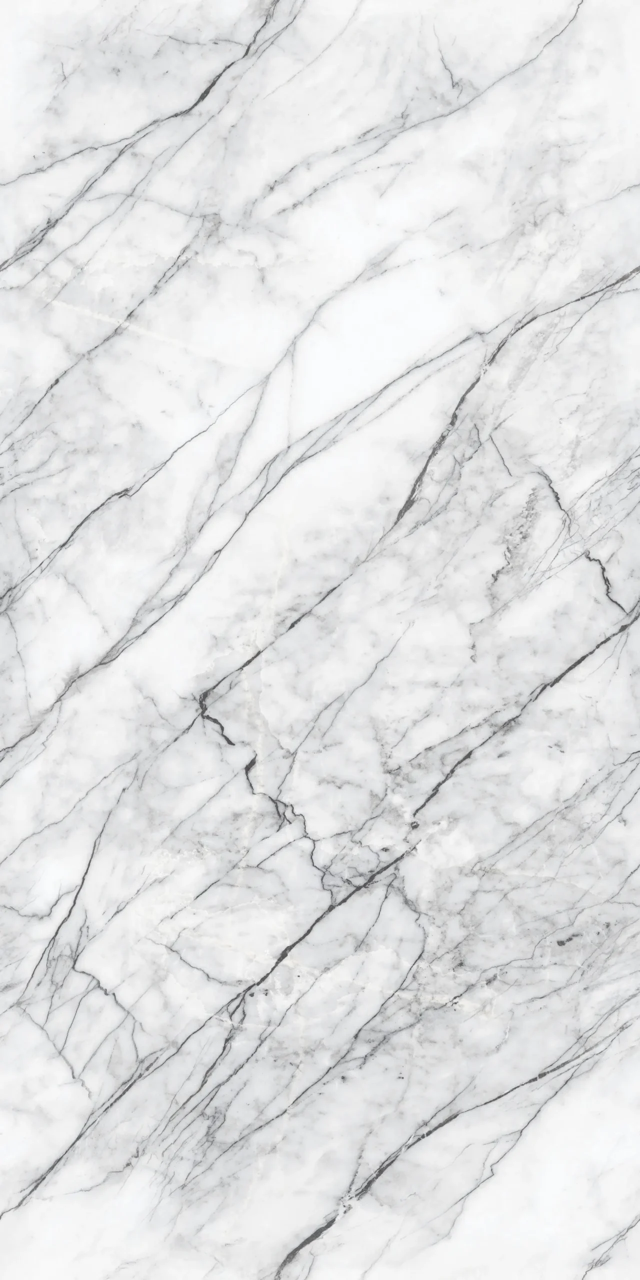 CARRARA WHITE_P1