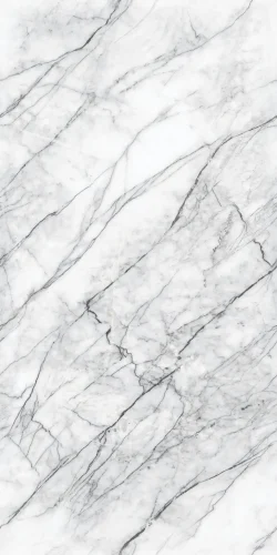 CARRARA WHITE_P1